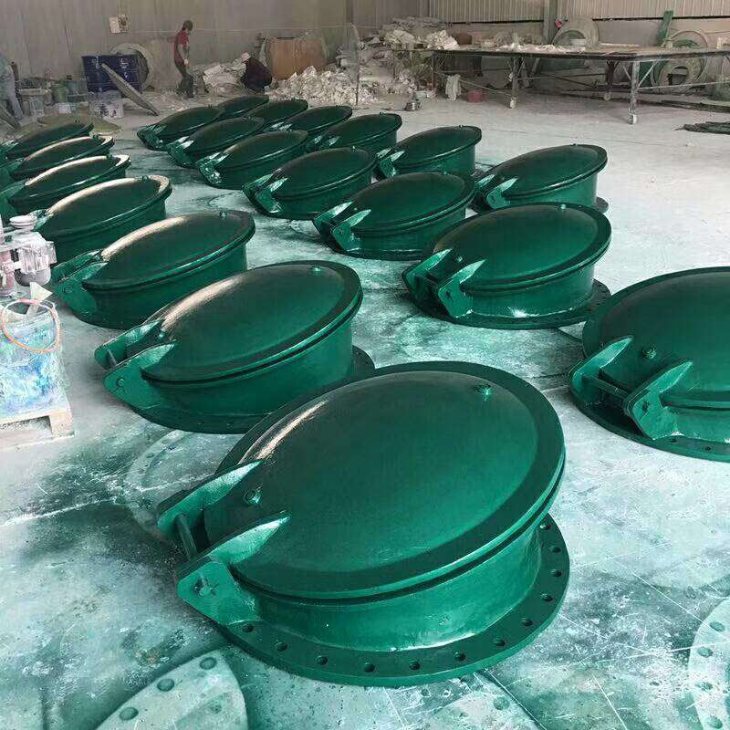 玻璃钢拍门