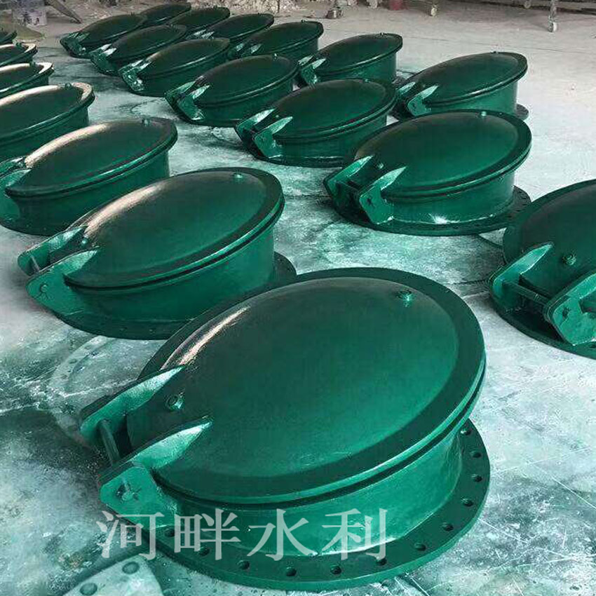 玻璃钢拍门