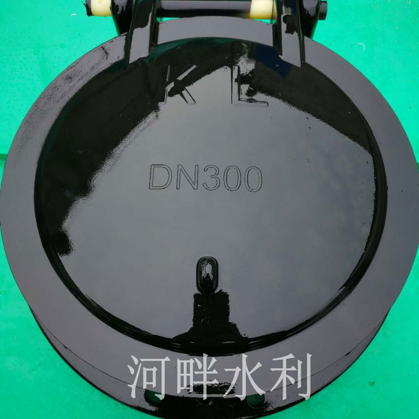 玻璃钢拍门