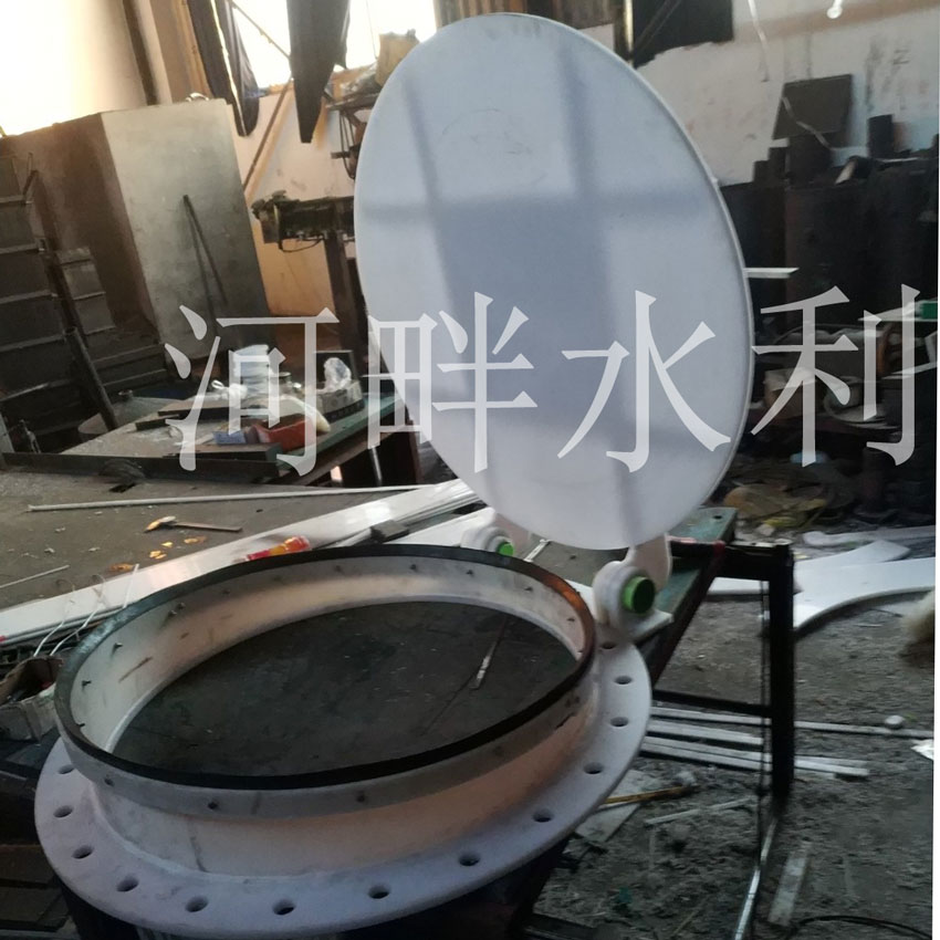 HDPE拍门